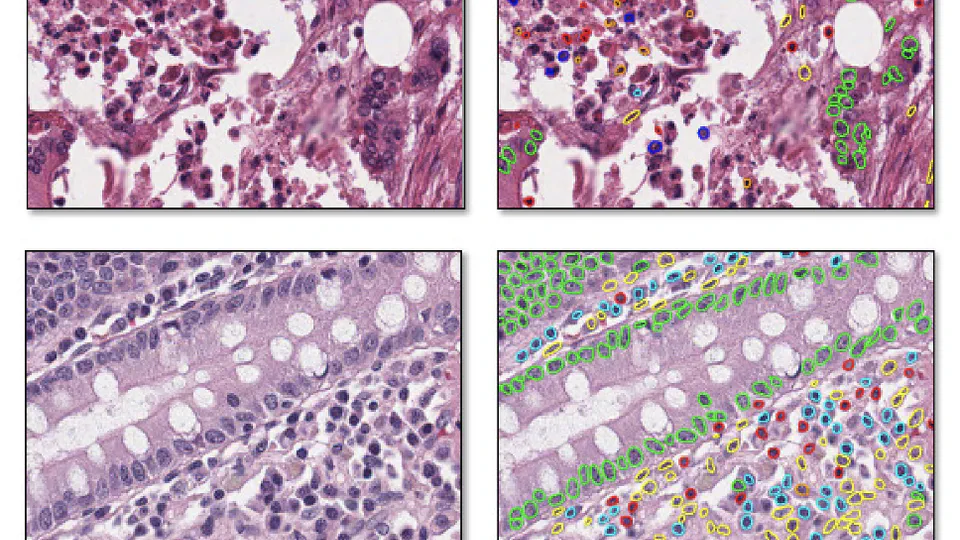 Color Space-based Hover-Net for Nuclei Instance Segmentation and Classification